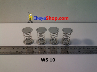 WS 10  large2